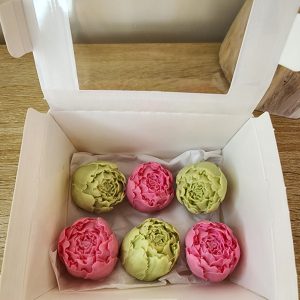 Coffret de 6 Pivoines