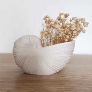 Vase coquillage