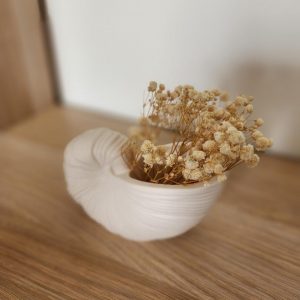 Vase coquillage